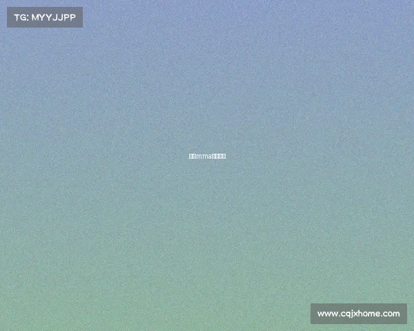 美国mma选手视频